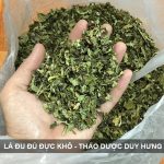 Lá đu đủ đực khô