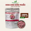 hoa-anh-dao-muoi-la-gi