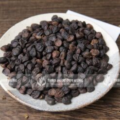 Hạt Dổi Rừng Tây Bắc