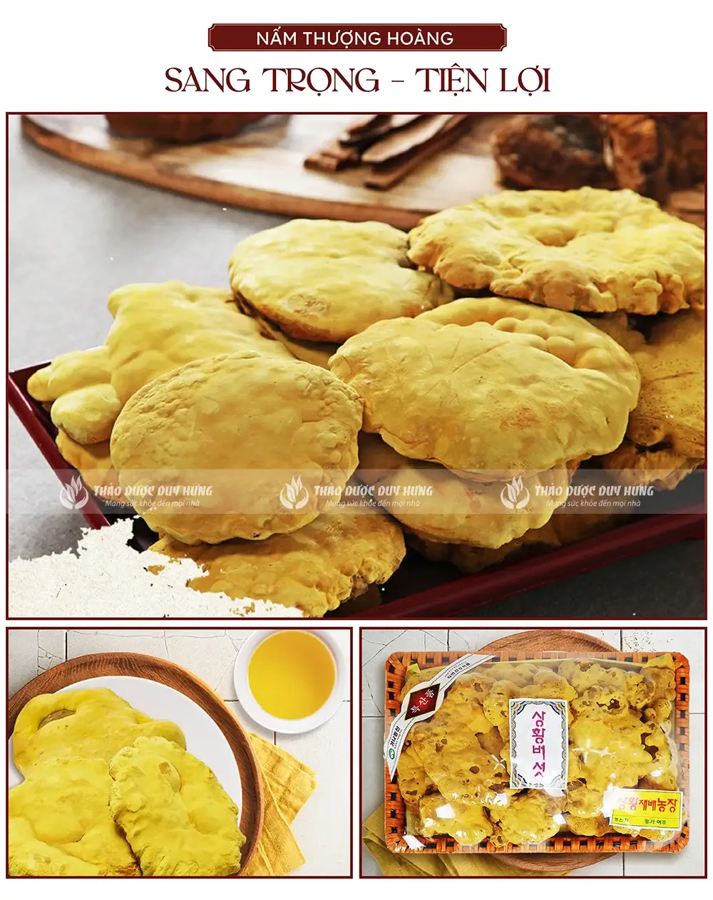 nam-thuong-hoang-thaoduocduyhung01