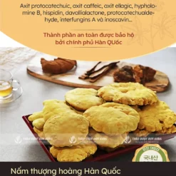 thanh-phan-duong-chat-trong-nam-thuong-hoang