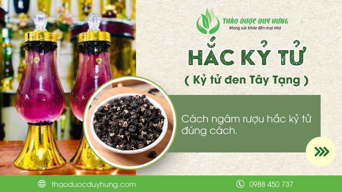 blog-cach-ngam-ruou-hac-ky-tu